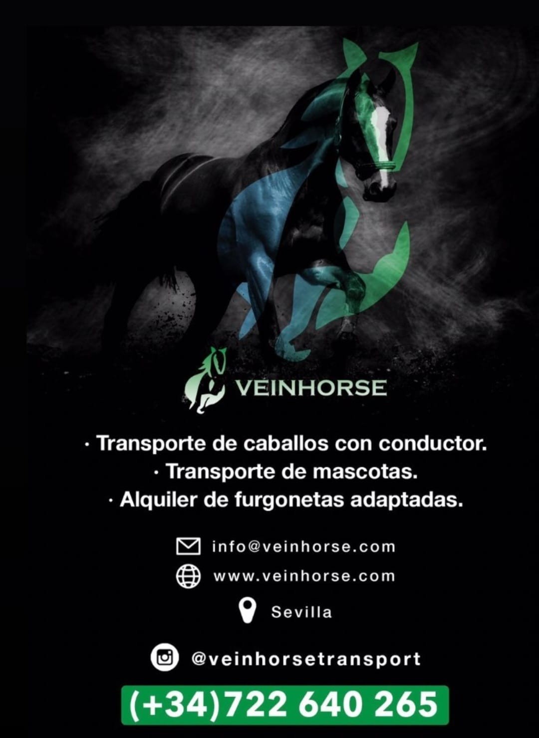 Veinhorse
